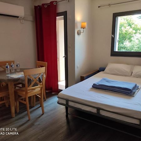 Appartement Les Palmiers Nice Dış mekan fotoğraf